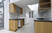 Ballyreagh kitchen extension leads